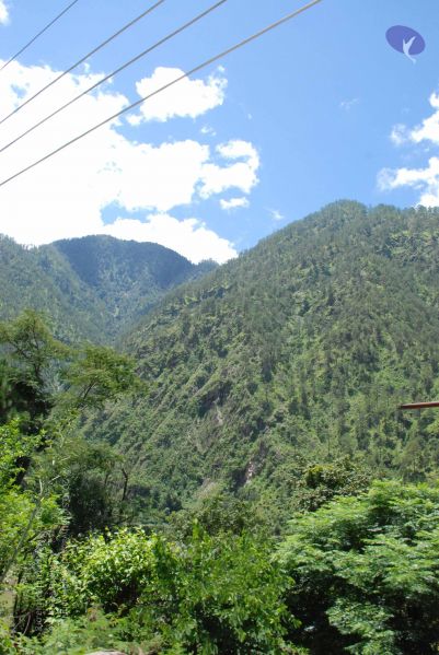 File:20080702 DSC 0627 CMP WM.jpg