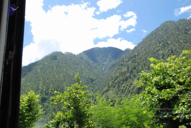 20080702 DSC 0628 CMP WM.jpg