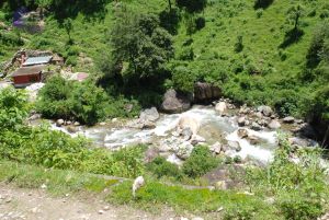 20080702 DSC 0655 CMP WM.jpg