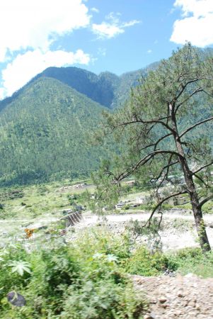 20080702 DSC 0680 CMP WM.jpg