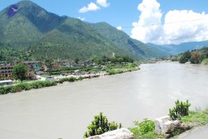 20080702 DSC 0692 CMP WM.jpg