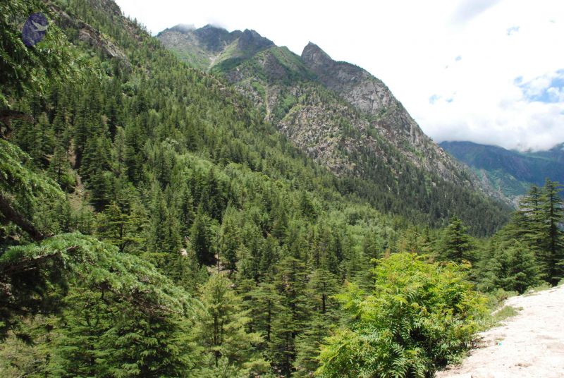 File:20080702 Photo 1074 1N- -oqkJbRefJSOW9kue4KJD6n2NNSJO.JPG