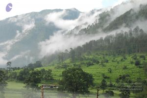 20080702 Photo 1168 1lAd1lr10Ot5RQ2uurUptSG2NkEUjgo7d.JPG