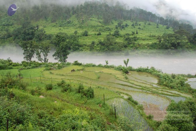 20080702 Photo 1182 1lYNhyb7DrGYQLmv47N6jRKYYh4O7wtu4.JPG