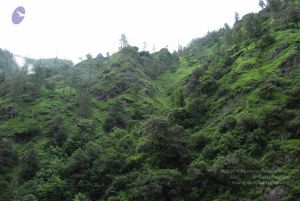 20080702 Photo 1286 1Fa77MB20 LxlwELJHDO6bbUGdTe6XImz.JPG