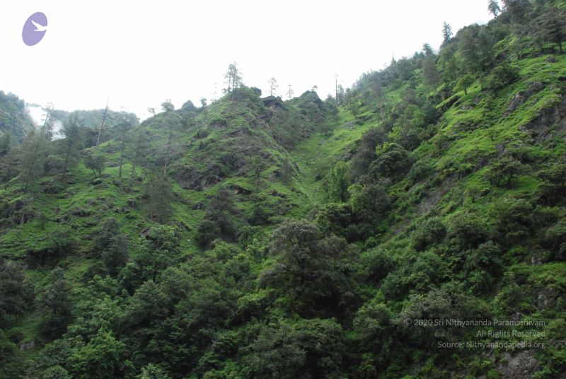 File:20080702 Photo 1286 1Fa77MB20 LxlwELJHDO6bbUGdTe6XImz.JPG