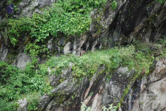 20080702 Photo 1298 1ZCZTQqSq24zMrVq-YcJPHOduJmYqfuNS.JPG