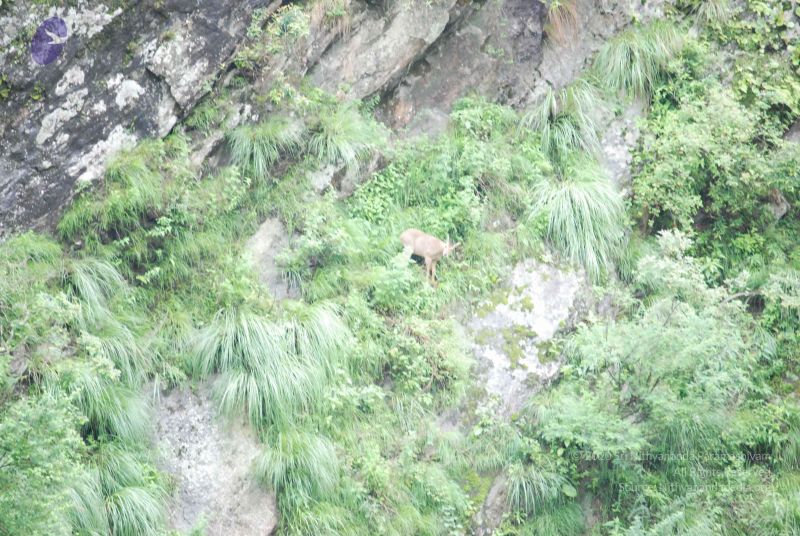 File:20080702 Photo 1316 1U8dsEhVOSeT4JmnRkmVtSpWlrlHW9~b.JPG