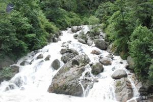 20080702 Photo 1325 1NXHRwThOJhvEGedmEbBHdIvNsXTW58w3.JPG