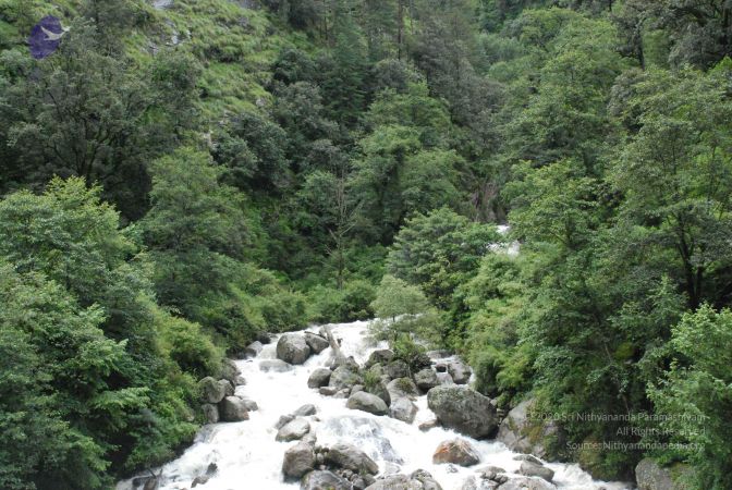 20080702 Photo 1327 15DYcraeQkyFNHWMlvH2X3CFt7kXW7wjk.JPG