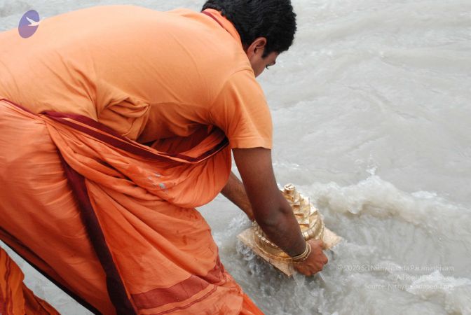 20080703 Photo 1308 1 69LogoMswLuxsl1SeSle-Lpfb7jjxTp.JPG