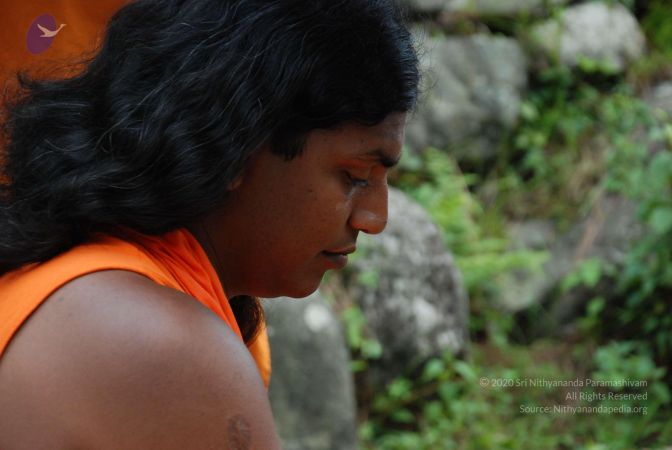 20080703 Photo 1719 1SFgTvTwzyes0eDYt25jncTWTF-cKWkPT.JPG