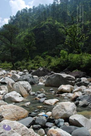 20080703 Photo 2051 1UQMWpFNicaSn4VGRWn0hgj zCGF 2Vll.JPG