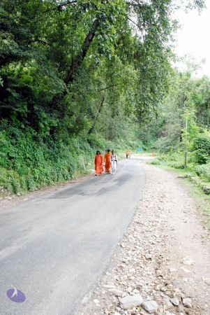 20080706 DSC 0624 CMP WM0001.jpg