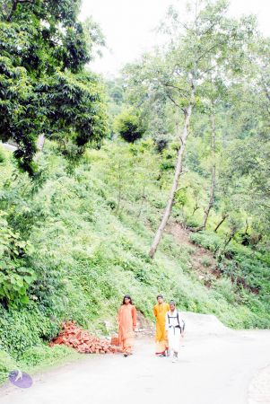 20080706 DSC 0632 CMP WM0001.jpg