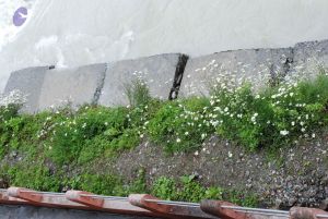 20080707 Photo 1004 190Ivx9J1VUmrtSW0apvmNmQ2gAg51zVR.JPG