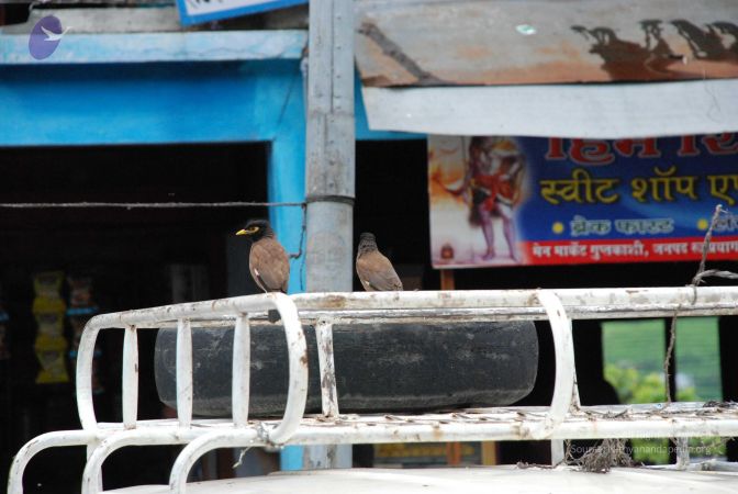 20080707 Photo 1013 1BgWF BMv2Be57OtHPcGwl4h2tR72J-IK.JPG