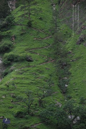 20080707 Photo 1040 1QRCk6vYQ3FrFiJ6GO6tynKlB82lfd4oD.JPG