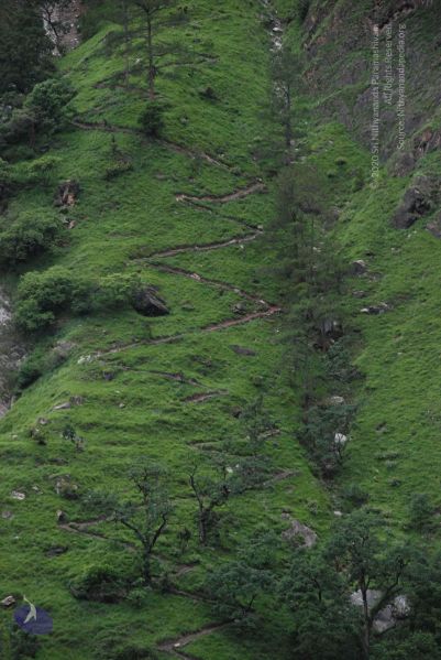 File:20080707 Photo 1040 1QRCk6vYQ3FrFiJ6GO6tynKlB82lfd4oD.JPG