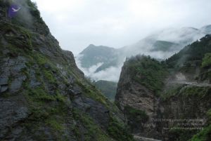 20080707 Photo 1055 1rmqZ0NXGmtxc8hTOvxI4n2snmIidTdp9.JPG