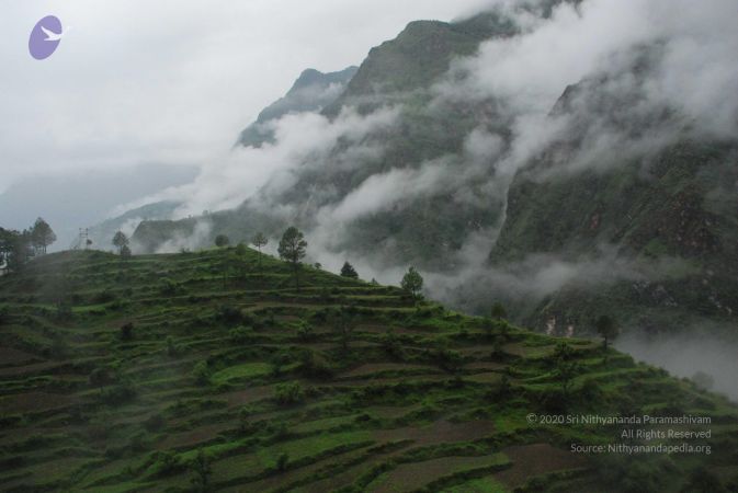 20080707 Photo 1146 1crISva4w7a-3U4yTOn7b-j6E6lf2LqH3.JPG