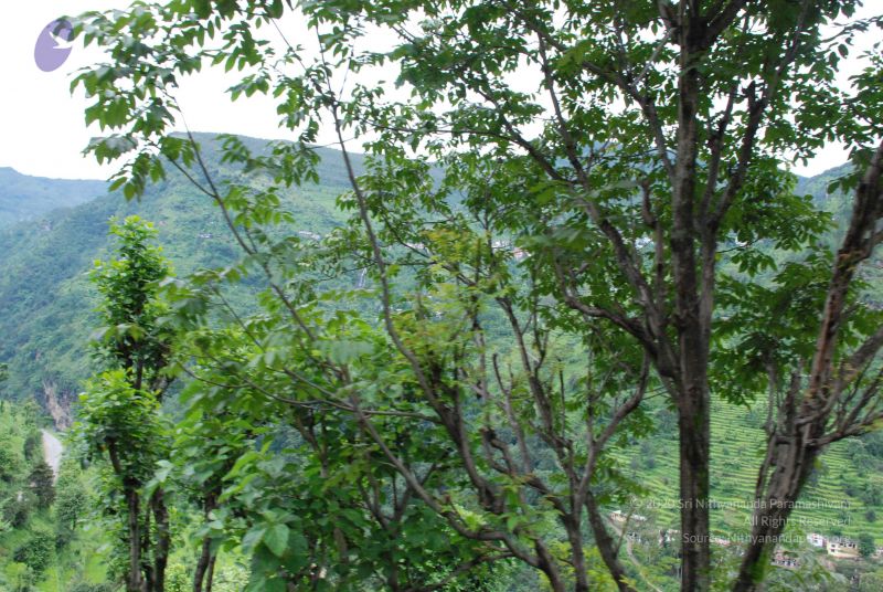 File:20080707 Photo 1289 1yLTXseWapTeED491nBEuuOOQSU2Ig97o.JPG