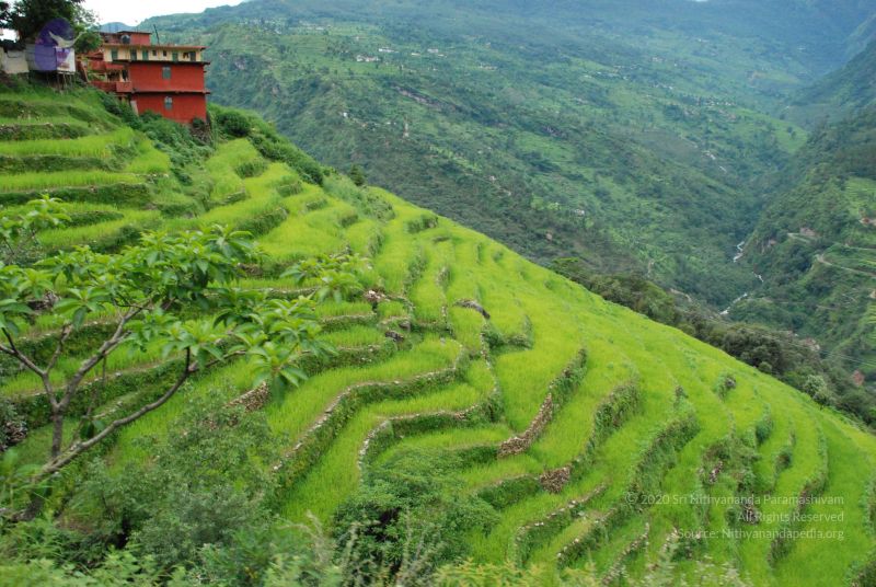 File:20080707 Photo 1311 10sbBdIGPdIEm3u6dGp7oNVt8eH2ziAjC.JPG