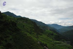 20080707 Photo 1318 1trekCdoAMvZi-rEtsjooAM31CZKFWyKw.JPG