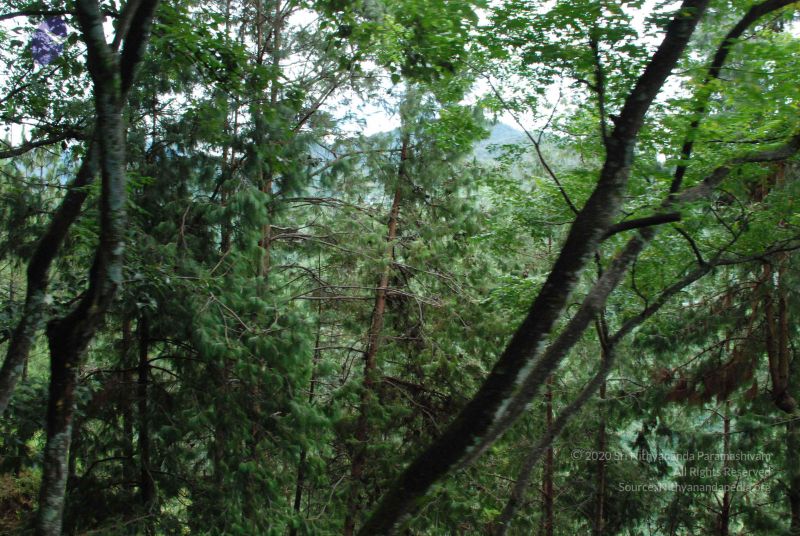 File:20080707 Photo 1341 1kEckTyddUInfU3Ef7EfFcQN8 ASUEpcI.JPG