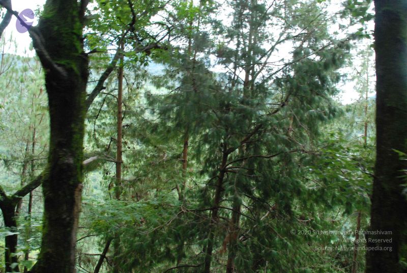 File:20080707 Photo 1342 1ak DsEyLGojTSqqkvvFNzUWZJBclVynR.JPG