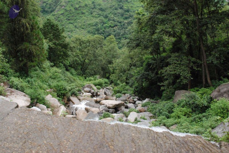 File:20080707 Photo 1350 1XTZcACKKk7UPdBCIv-dyBwG5RbRjlonF.JPG