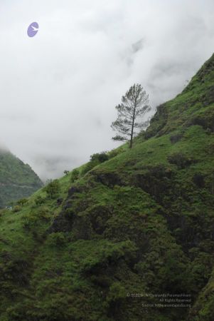 20080707 Photo 1363 1suwT1Oeks7BfpPoDh6nTZm0MwCYjKML1.JPG