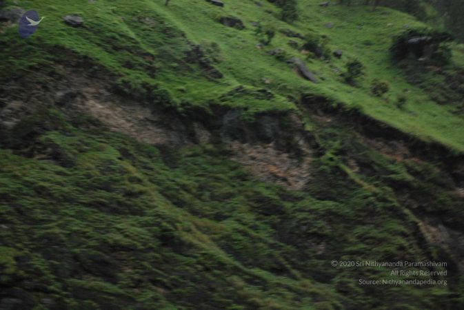 20080707 Photo 1377 1ZLahckpkh79fMNFgZQnybMIAxy-AsUyM.JPG