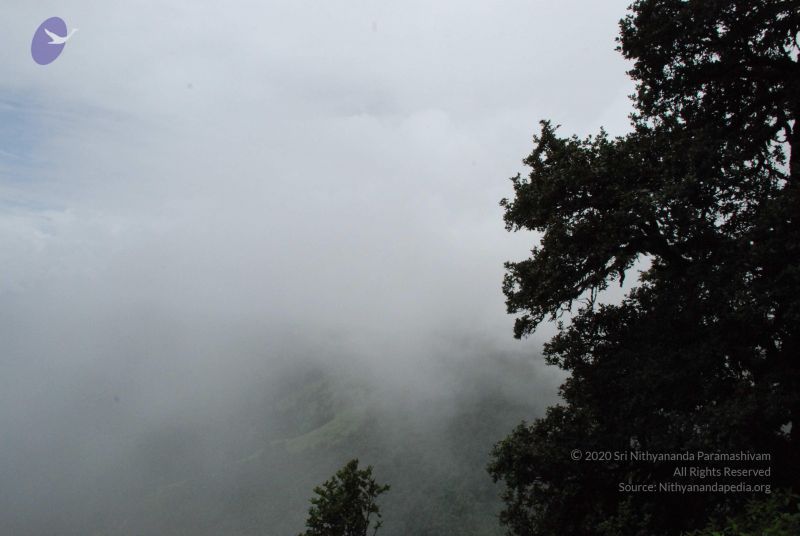 File:20080707 Photo 1377 1ma8hEWuUZuctKB4gPl3JrG7CAut7Tn7t.JPG