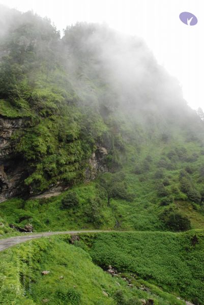 File:20080707 Photo 1393 1bKGXBQwLc3GKLsLzcPmAhFDYV9hYQpOB.JPG