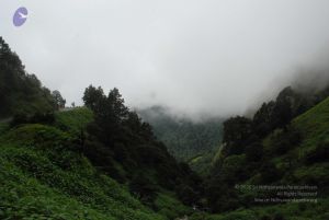 20080707 Photo 1395 1khZlrG99yALWh3xtjVsoIG7 RCeey5Bm.JPG