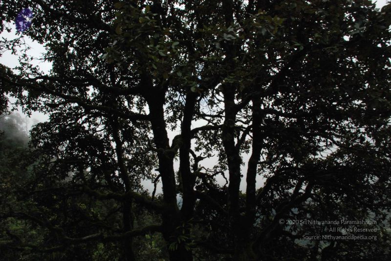 File:20080707 Photo 1399 16eKYDZK7cYOT2FZ3KdehSH5dUvWqY9PR.JPG