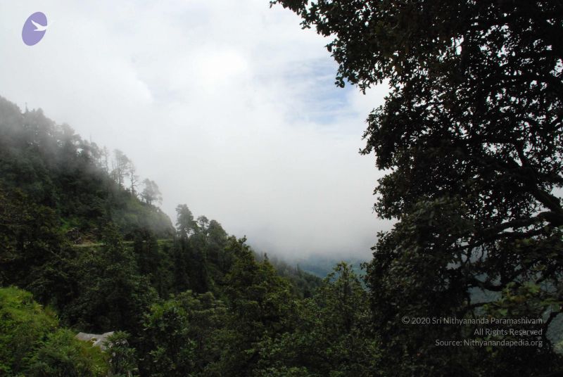 File:20080707 Photo 1400 15yhboOW182TqSpIKUxnJ6sOkOBxgo2Ks.JPG