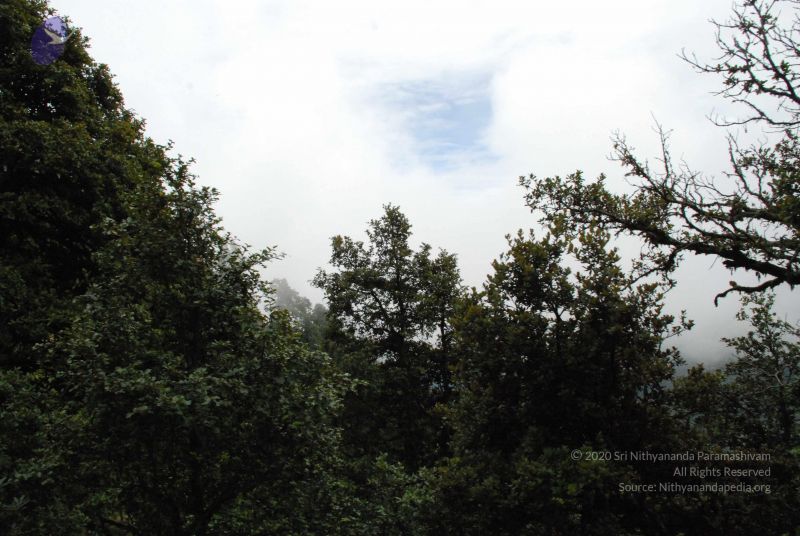 File:20080707 Photo 1402 1yoJd2aYMHs7rtZMqOdqSyGyZ5tHtCu17.JPG