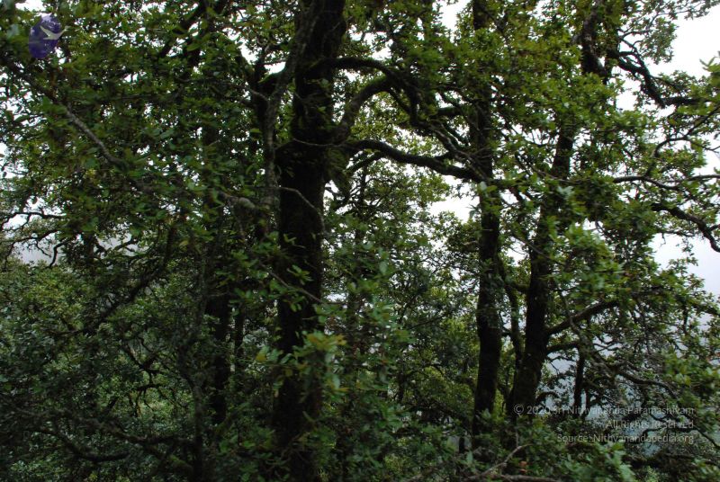 File:20080707 Photo 1410 1pnHcNmBnMVyYfvSnJYPCo8PIqwE6XSHb.JPG