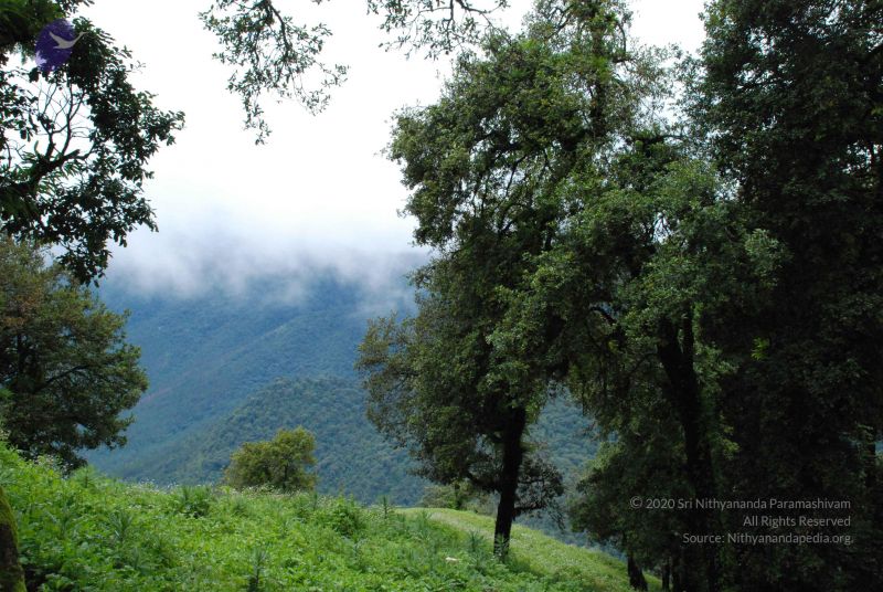 File:20080707 Photo 1420 1Zru0xDe zJVIngXJoG7YWMH7Byrqw1TW.JPG