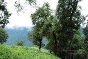 20080707 Photo 1421 1mMllqjwCqr7KVmugnjZ1-MrbcdopFfFG.JPG