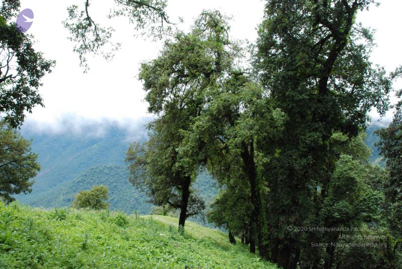 File:20080707 Photo 1421 1mMllqjwCqr7KVmugnjZ1-MrbcdopFfFG.JPG