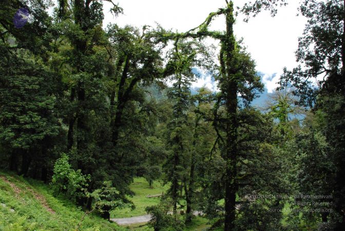 20080707 Photo 1429 16Yqz31 i1uB8hNaTi1y94PzrYiV5vXfs.JPG