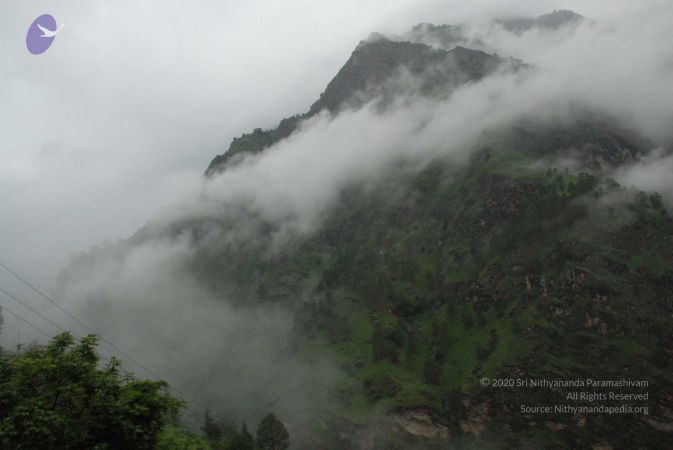 20080707 Photo 1433 1Ol21srCyCV8YoRIgEkyVXrQ6YC1p9xPJ.JPG