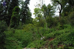 20080707 Photo 1435 1RAPpDNQwj05e5c58E2WxA5gO8ZObluXq.JPG