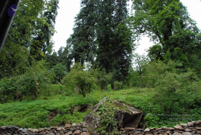 20080707 Photo 1437 1byO79Od-FuVI4A6p54 -b09u3xEPHAht.JPG