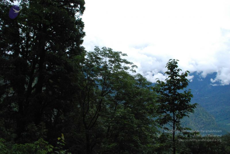 File:20080707 Photo 1442 1z00ndltxmIsYni48EhNJ2adcGTgkeVGv.JPG