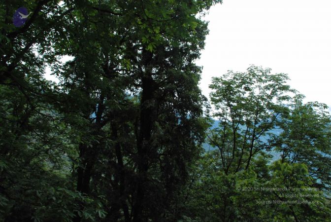 20080707 Photo 1443 1YmZ00aEFQC-O4VV2Soo4BWkclbJafopX.JPG