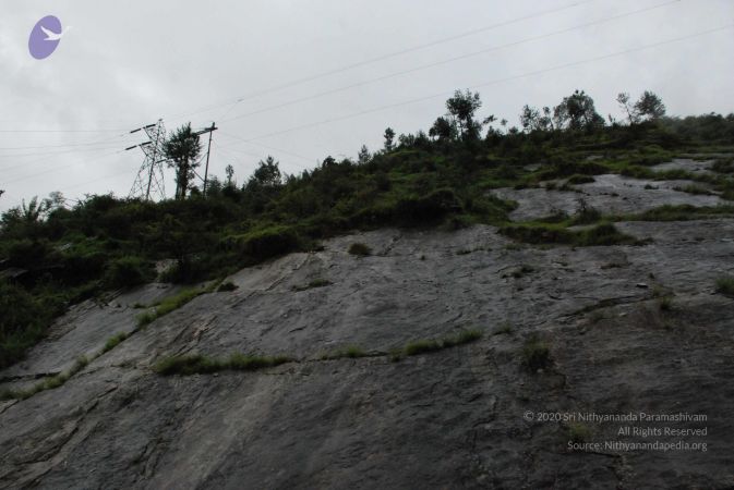 20080707 Photo 1448 1KsKgvXx32NQ3nJ3 Z4LxQoXiN4uMk9ol.JPG